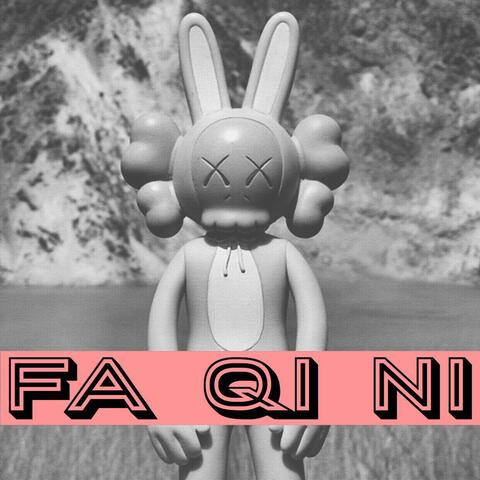 FA QI NI