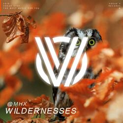 Wildernesses