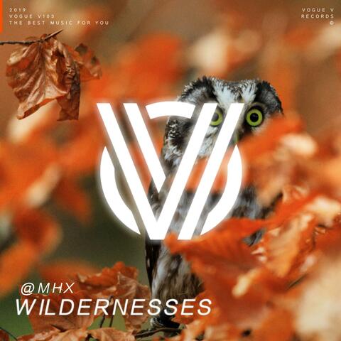 Wildernesses