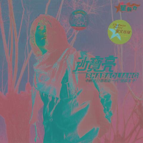 沙宝亮