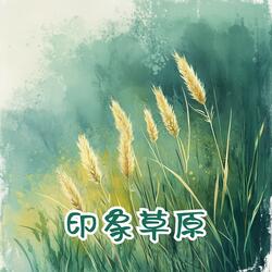 印象草原（伴奏）