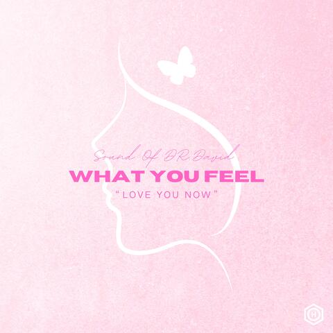 What U Feel (What U Want)