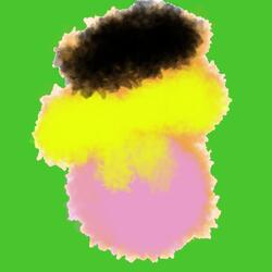 Check The Entire History