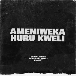 AMENIWEKA HURU KWELI