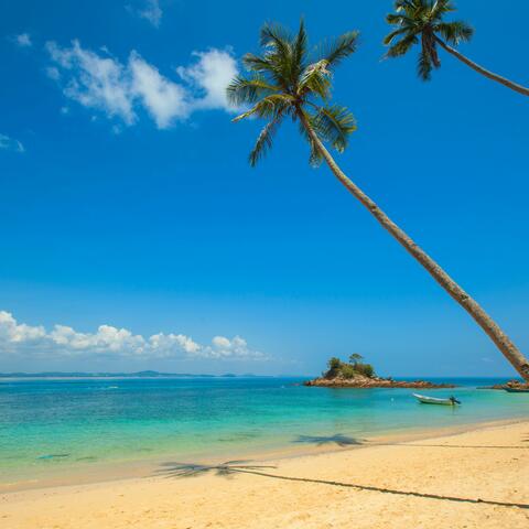 Welcome to My Island
