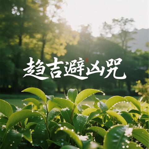趋吉避凶咒