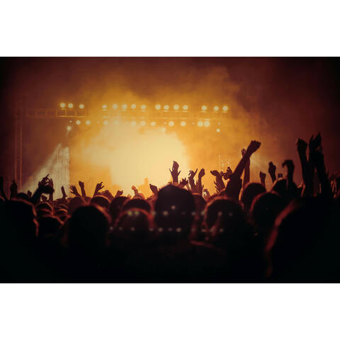 Electric Memories