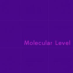 Molecular Level