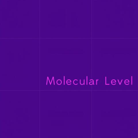 Molecular Level