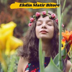 Ekdin Matir Bitore
