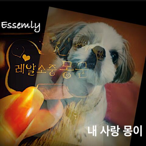Essemly
