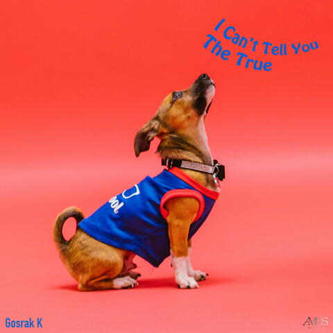 I Can't Tell You The True