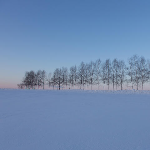 The first snow in Hokkaido