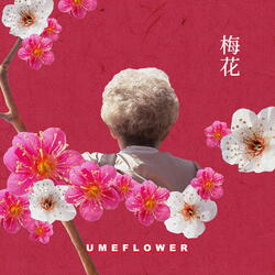 Ume flower