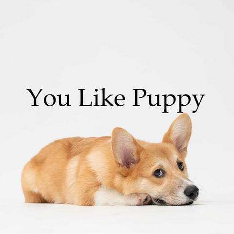 You Like Puppy