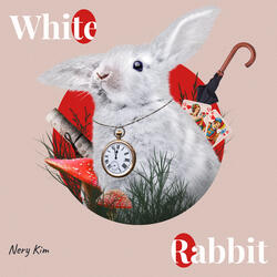 White Rabbit