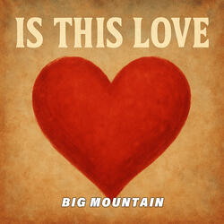 Is This Love (Inst.)