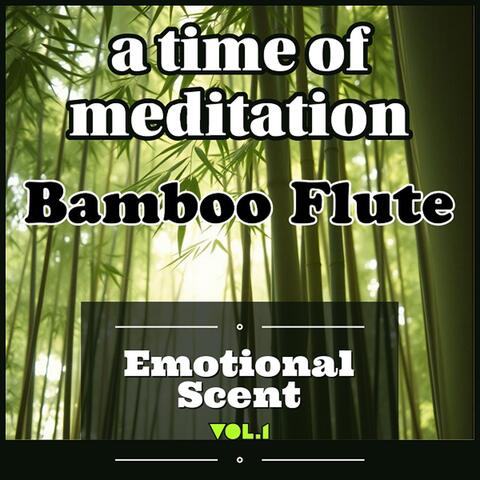 a time of meditation (Bamboo Flute)_vol.1
