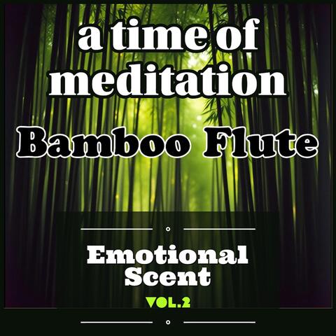 a time of meditation (Bamboo Flute)_vol.2