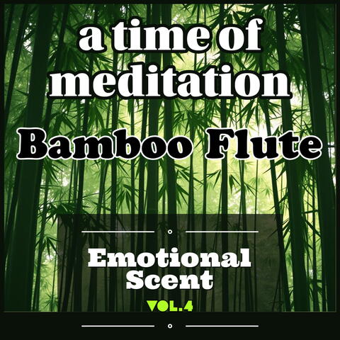 a time of meditation (Bamboo Flute)_vol.4