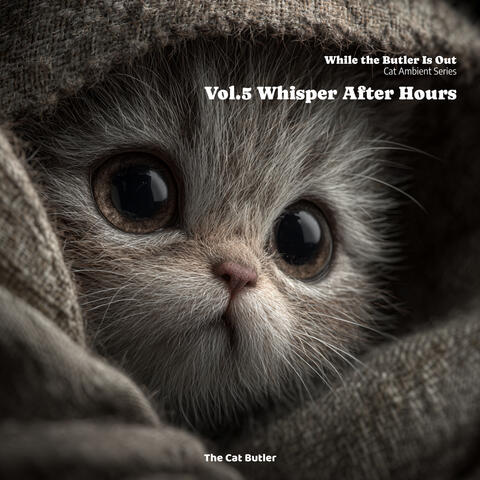집사가 외출한 사이: 고양이 앰비언트 - Vol.5 Whisper After Hours(While the Butler Is Out: Cat Ambient Series - Vol.5 Whisper After Hours)
