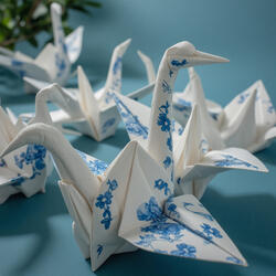 Paper Dreams Unfold