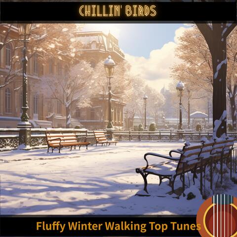 Fluffy Winter Walking Top Tunes