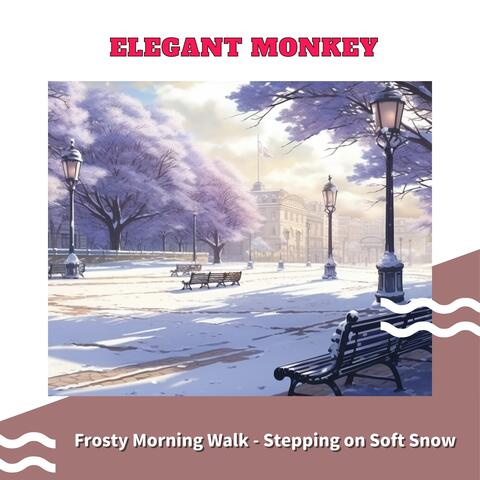 Frosty Morning Walk - Stepping on Soft Snow