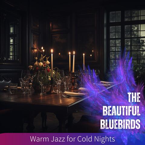 Warm Jazz for Cold Nights
