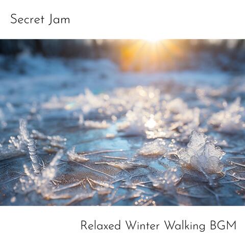 Relaxed Winter Walking BGM