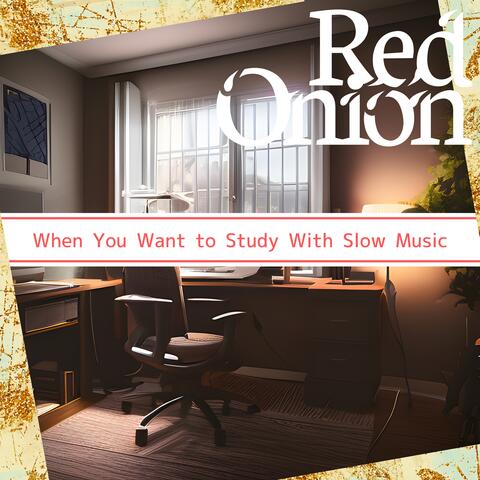 When You Want to Study With Slow Music