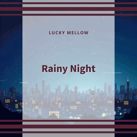 Rainy Night