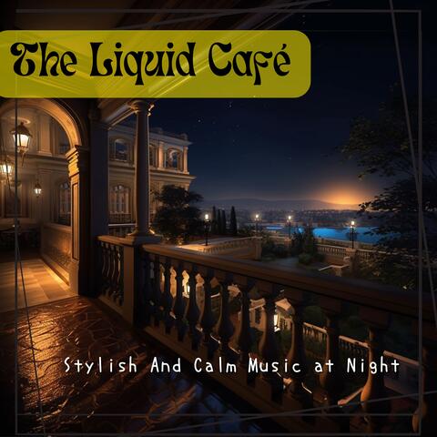 Stylish And Calm Music at Night