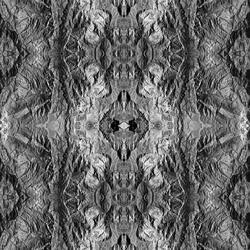 Toward an Entity of Oneness