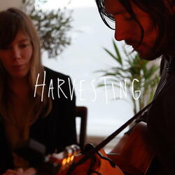 Harvesting