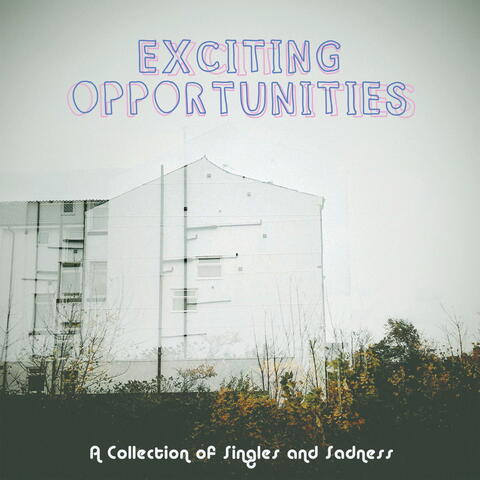 Exciting Opportunities: A Collection of Singles and Sadness