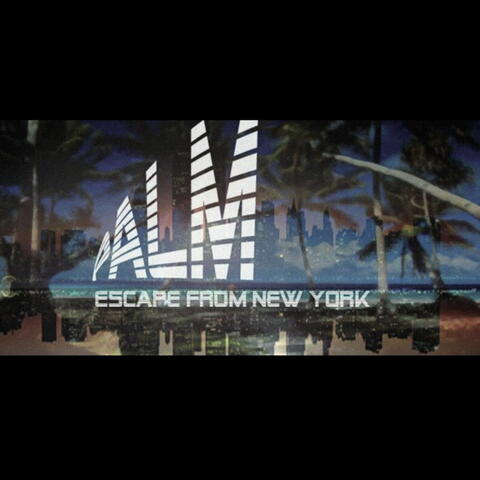 Palm Highway Chase