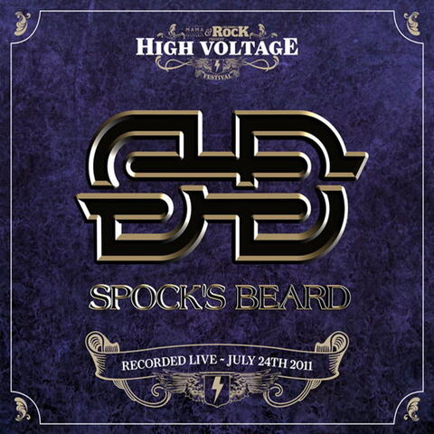 Live at High Voltage Festival 2011