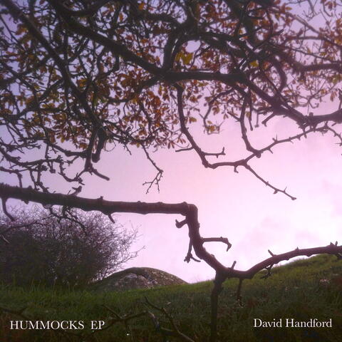 Hummocks