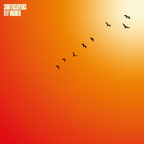 Fly Higher