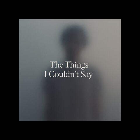 The Things I Couldn't Say
