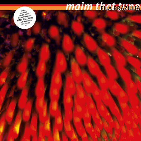 Maim That Tune (30th Anniversary Remaster)
