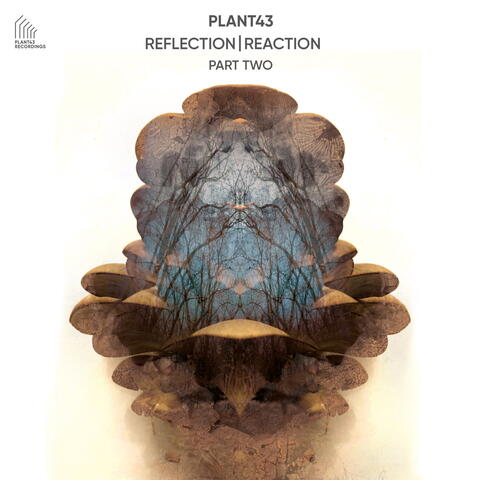 Reflection | Reaction - Part Two