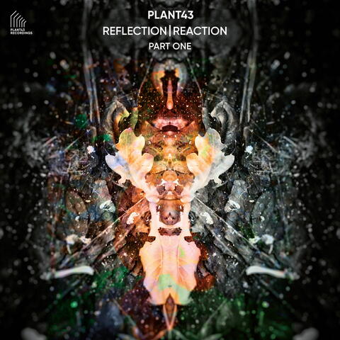 Reflection | Reaction - Part One