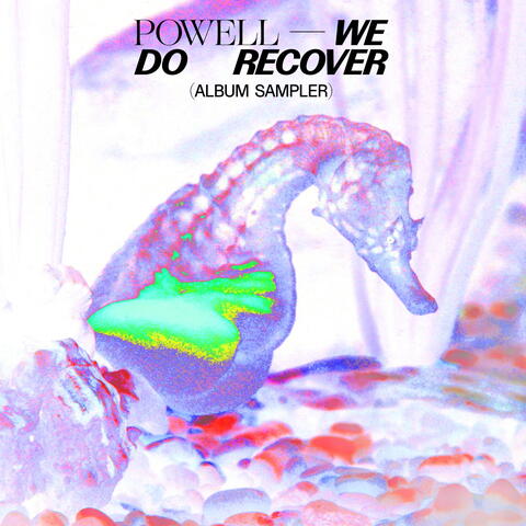 We Do Recover (Sampler)