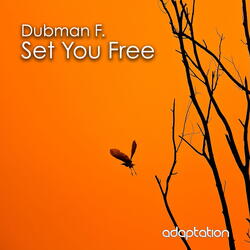Set You Free