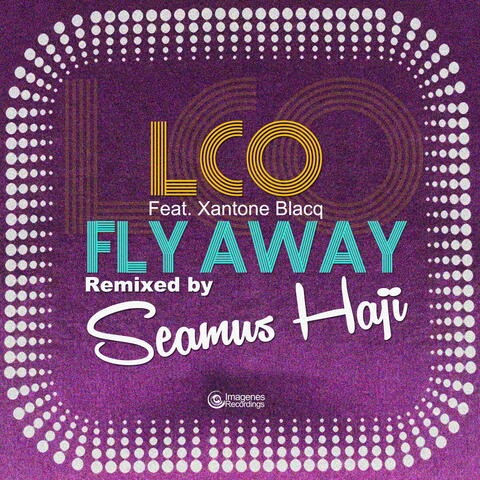 Fly Away (Seamus Haji Remixes)