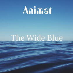 The Wide Blue