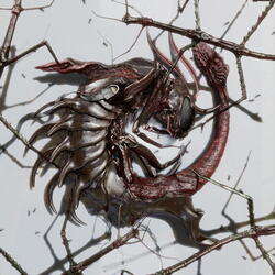 Caduceus