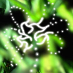 The Garden as a Shapeshifter / Evading the Image of the Self